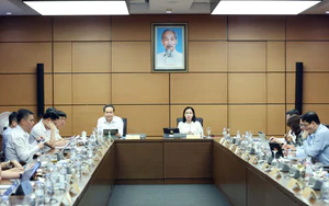 Kỳ họp thứ 2, Quốc hội khóa XVI: Hoàn thiện thể chế lĩnh vực văn hóa, thể thao và du lịch
