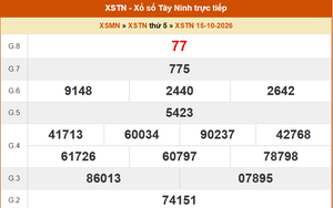 XSTN 22/10 - Kết quả xổ số Tây Ninh hôm nay 22/10/2026 - Trực tiếp xổ số hôm nay ngày 22 tháng 10