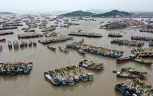Trung Quốc: Hơn 500 người bị thương do bão Champi