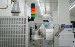 Chương trình hành động của Chính phủ về thu hút và trọng dụng nhân tài trong các ngành, lĩnh vực mũi nhọn