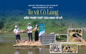 Từ vịt Cổ Lũng đến "phép thử" của kinh tế số