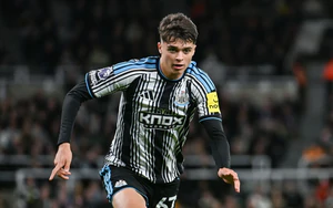 Nhận định Everton vs Newcastle 02h45 ngày 30/10, vòng 1/8 Cúp Liên đoàn Anh