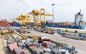 Từ ký ức ba lần đón Bác đến hành trình vươn ra biển lớn