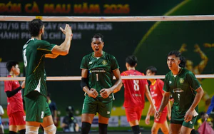 Lịch thi đấu bóng chuyền nam VĐQG 2026 hôm nay ngày 31/10