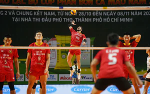 Link xem trực tiếp bóng chuyền nam VĐQG 2026 hôm nay ngày 31/10