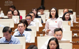 Đại biểu Quốc hội đề nghị rà soát hiệu quả sử dụng các thiết chế văn hóa, đảm bảo kinh phí hoạt động thường xuyên