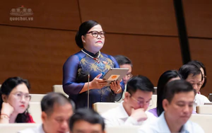 Đại biểu Quốc hội đề xuất mô hình phát triển đô thị di sản bền vững