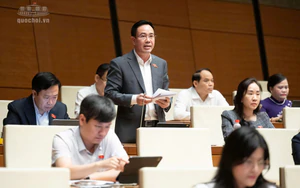 Đại biểu Quốc hội đề nghị lập 'lá chắn' bảo vệ trẻ em trước 'rác mạng'