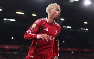 Ekitike là 'Torres mới' của Liverpool