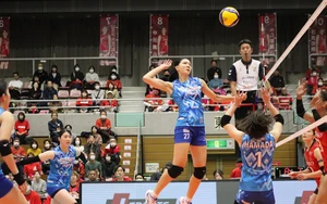 Lịch thi đấu bóng chuyền hôm nay ngày 1/2/2026