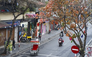 Dự báo thời tiết ngày 11/2: Nền nhiệt tăng, thời tiết ấm dần ở Bắc Bộ, Bắc Trung Bộ