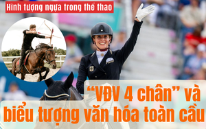 Hình tượng ngựa trong thể thao: Từ 'VĐV 4 chân' đến biểu tượng văn hóa toàn cầu