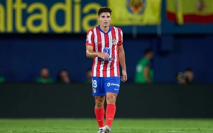 Hết hi vọng mới đặt niềm tin vào Alvarez