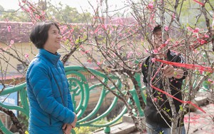 Tiểu thương thấp thỏm vì sức mua đào, quất giảm