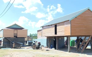 Từ vùng thiên tai đến mùa Xuân an lành