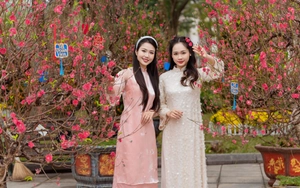 Ngắm đào cổ, xin chữ ông đồ dịp Tết tại không gian hoa Xuân ở Hồ Hoàn Kiếm