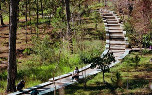 Trường Đại học Đà Lạt - Điểm đến lý thú dành cho du khách