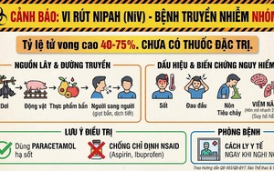 Bộ Y tế ban hành hướng dẫn "ứng phó" vi rút Nipah 