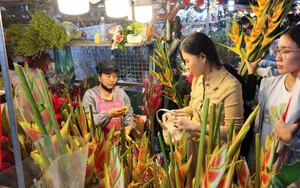 Đi chợ hoa đêm để được 'chạm' vào Tết