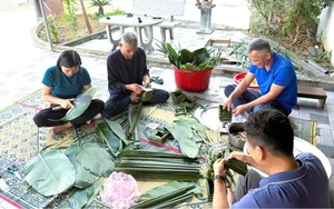 Gói bánh chưng khuôn lá dừa - nét đẹp văn hóa truyền thống của cư dân làng biển Diễn Châu