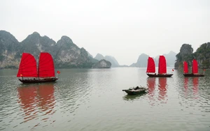 Chấp thuận đưa thuyền ba vách truyền thống vào phục vụ du lịch trên vịnh Hạ Long