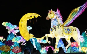 Thế giới hân hoan đón Năm mới Bính Ngọ 2026