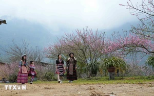 Tết của đồng bào Dao Khâu ở vùng cao Sìn Hồ