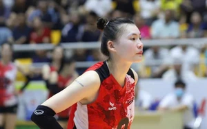 Lịch thi đấu bóng chuyền hôm nay ngày 2/2/2026