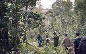 Kịp thời tìm kiếm, đưa 4 du khách lạc rừng Tây Yên Tử về nơi an toàn