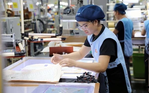 "Ăn Tết gọn, vào việc ngay" để hoàn thành kế hoạch năm Bính Ngọ