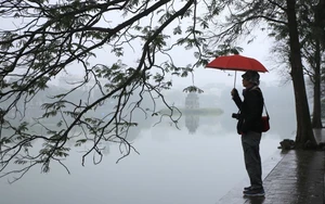 Thời tiết ngày mùng 6 Tết: Miền Bắc có mưa, sương mù, trời rét