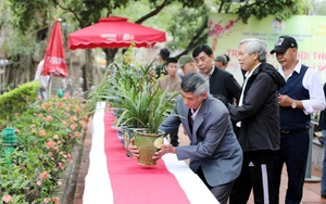 Du khách tham gia Chợ Tết "Sắc xuân Thành Nam"