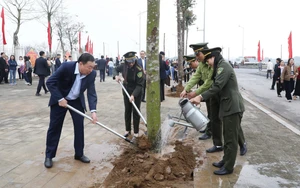 Trồng cây nhớ Bác, kiến tạo "lá phổi xanh" và xây dựng đô thị di sản