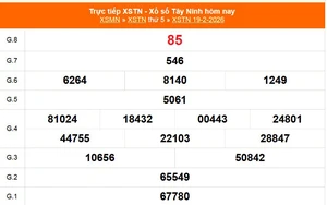 XSTN 26/2 - Kết quả xổ số Tây Ninh hôm nay 26/2/2026 - Trực tiếp xổ số hôm nay ngày 26 tháng 2