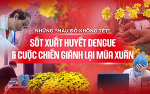 Những "màu đỏ không Tết" và hồi chuông cảnh báo từ sốt xuất huyết Dengue