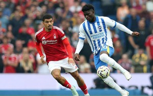 Nhận định, soi tỷ lệ Brighton vs Nottingham Forest 21h00 ngày 01/03, Ngoại hạng Anh
