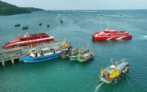 Đặc khu Cô Tô miễn phí vé tàu ra vào đảo ngày 29 Tết