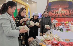 Thủ tướng yêu cầu tăng cường quảng bá sản phẩm, thương hiệu địa phương tại Hội chợ Mùa Xuân 2026