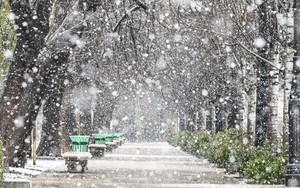 Một loạt nước châu Âu cảnh báo về bão và tuyết