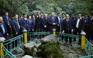 Từ Pác Bó đến mùa Xuân đất nước