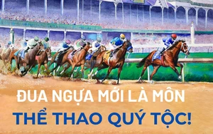 Đua ngựa mới là môn thể thao quý tộc!