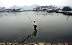 Giải mã "thủ phạm" nhấn chìm nền văn minh cổ đại trên sông Dương Tử