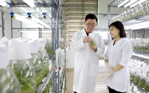 Đột phá theo Nghị quyết 57: Lấy sản phẩm làm thước đo đột phá phát triển