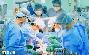 Bộ Y tế siết chặt quản lý hiến, ghép tạng trước nguy cơ mua bán nội tạng trái phép