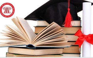 Điều kiện để được phong tặng danh hiệu Tiến sĩ danh dự, Giáo sư danh dự