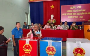 Bảo đảm công tác y tế phục vụ bầu cử Quốc hội và HĐND