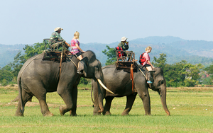 Buôn Ma Thuột có gì chơi? Những địa điểm đẹp và độc đáo giữa lòng Tây Nguyên