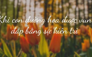 Hành trình đưa chuẩn mực Ikebana đến Việt Nam: Khi con đường hoa được vun đắp bằng sự kiên trì