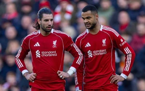 Liverpool đánh rơi chiến thắng ở phút cuối. lỡ cơ hội áp sát top 4