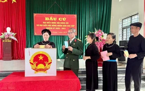 Thành công của cuộc bầu cử và "Quốc hội hành động"